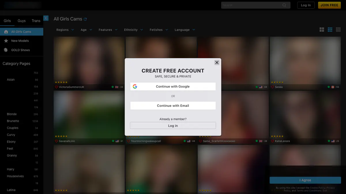 Streamate Video Downloader screenshot 2