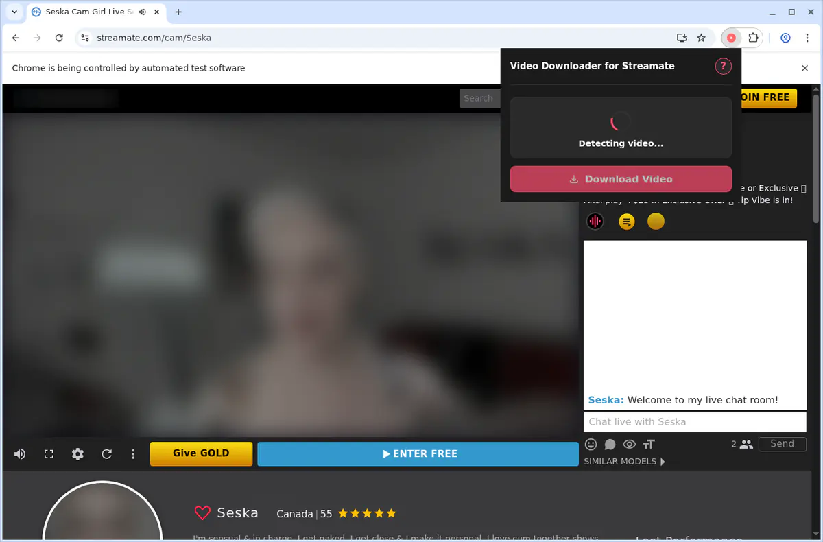 Streamate Video Downloader screenshot 4
